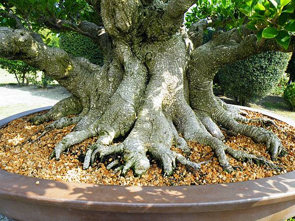 DSCF9411.JPG DSCF9411.JPG