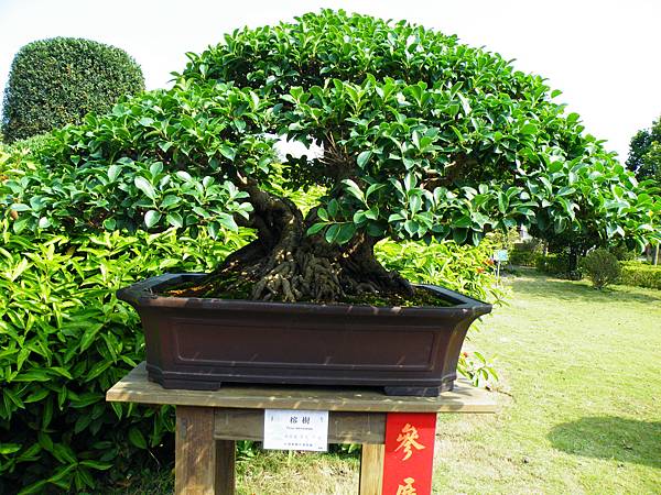 DSCF9414.JPG DSCF9414.JPG