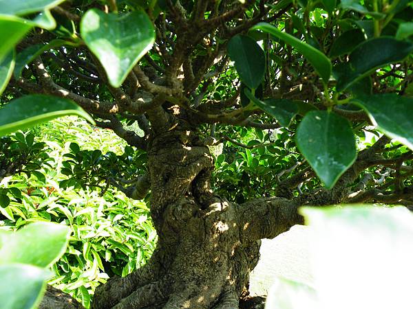 DSCF9417.JPG DSCF9417.JPG