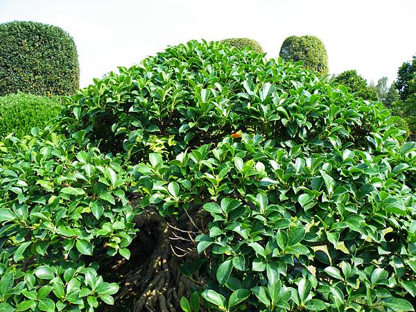 DSCF9418.JPG DSCF9418.JPG