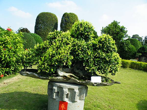 DSCF9419.JPG DSCF9419.JPG