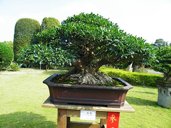 DSCF9421.JPG DSCF9421.JPG