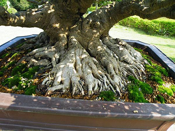 DSCF9422.JPG DSCF9422.JPG