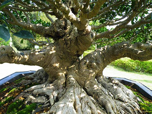 DSCF9423.JPG DSCF9423.JPG