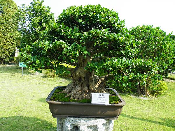 DSCF9425.JPG DSCF9425.JPG