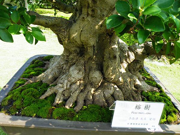 DSCF9426.JPG DSCF9426.JPG