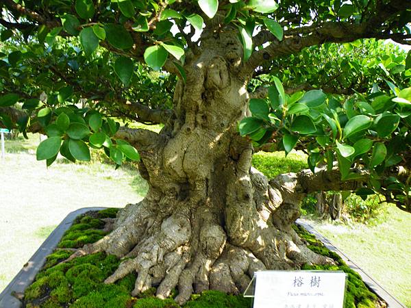 DSCF9427.JPG DSCF9427.JPG