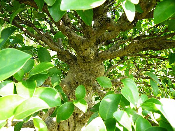 DSCF9428.JPG DSCF9428.JPG