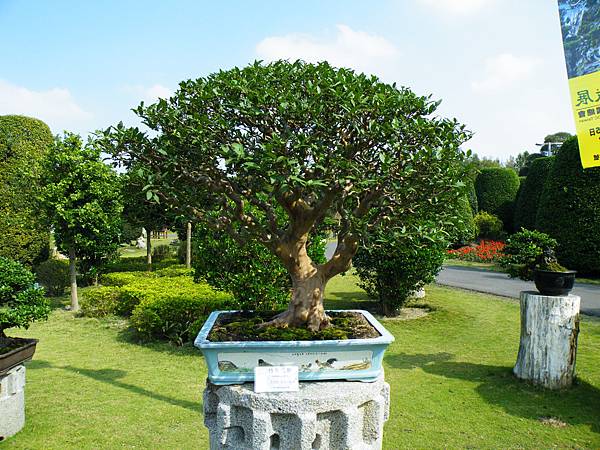 DSCF9430.JPG DSCF9430.JPG