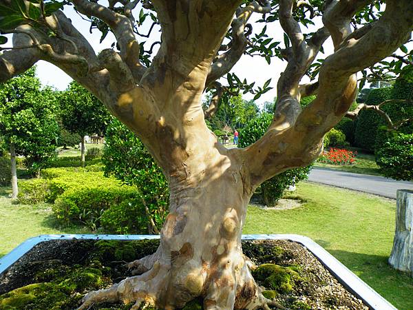 DSCF9432.JPG DSCF9432.JPG