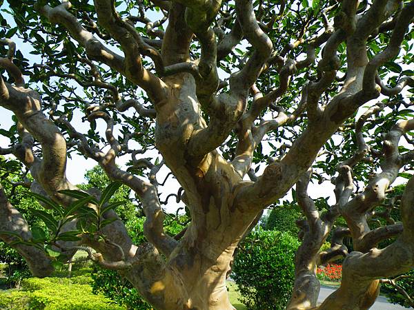 DSCF9433.JPG DSCF9433.JPG