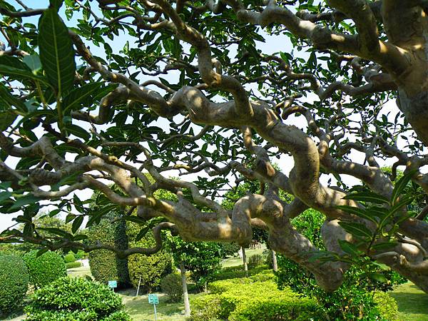 DSCF9434.JPG DSCF9434.JPG