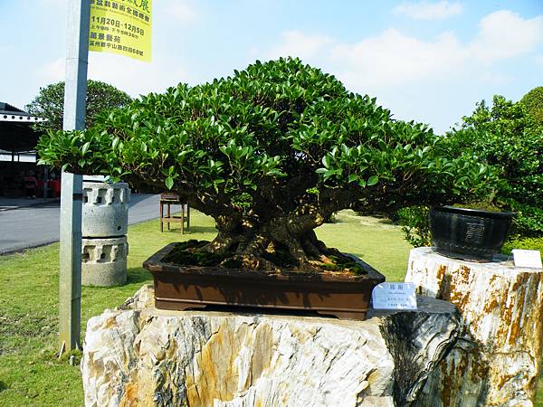 DSCF9436.JPG DSCF9436.JPG