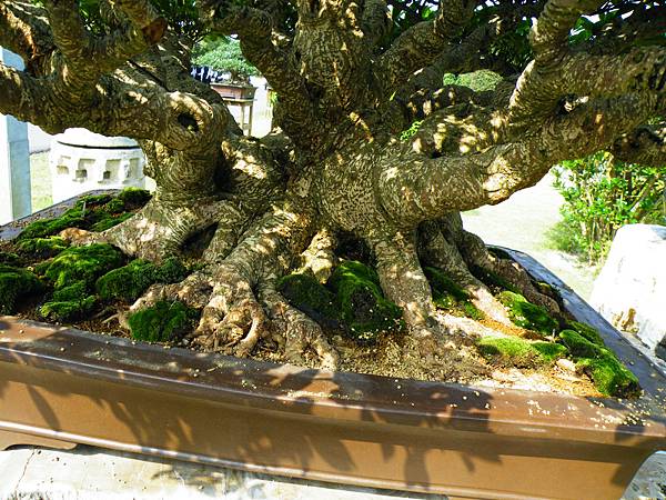 DSCF9437.JPG DSCF9437.JPG