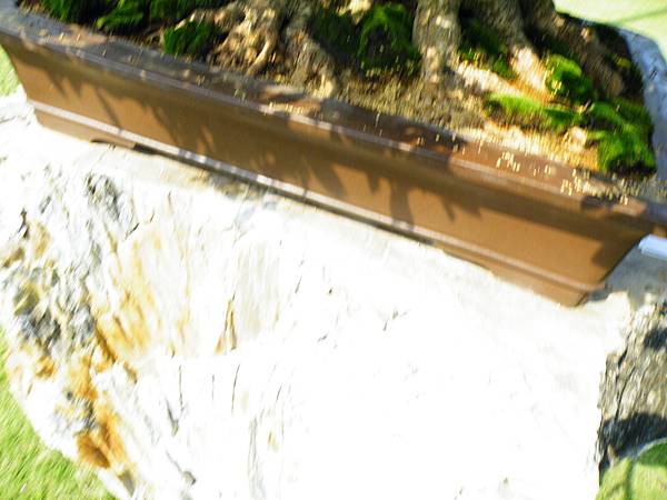 DSCF9439.JPG DSCF9439.JPG