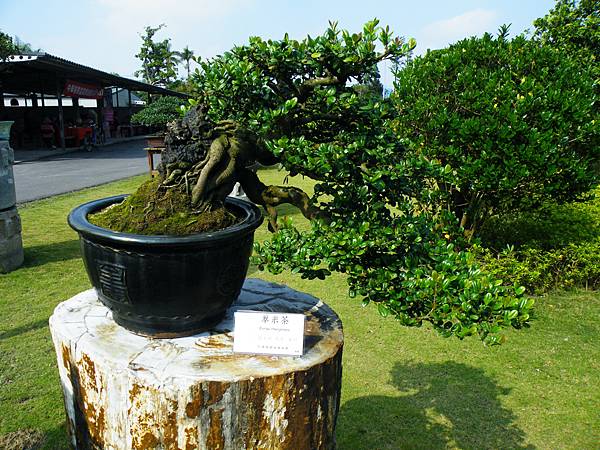 DSCF9440.JPG DSCF9440.JPG