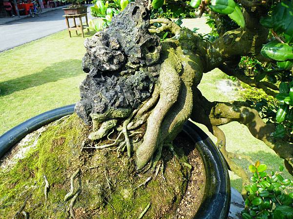 DSCF9441.JPG DSCF9441.JPG