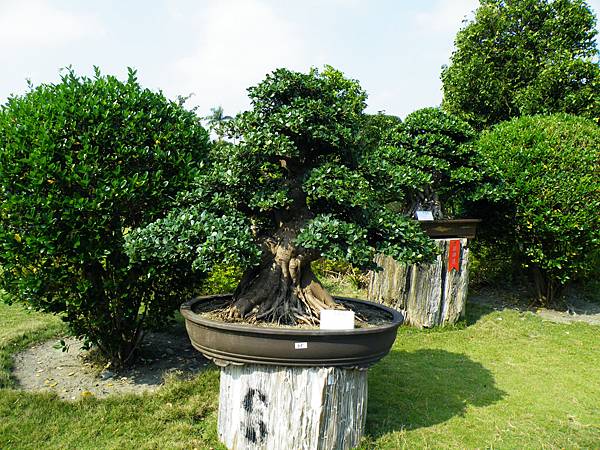 DSCF9444.JPG DSCF9444.JPG