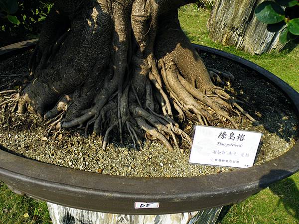 DSCF9445.JPG DSCF9445.JPG