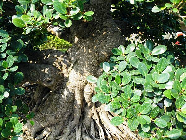 DSCF9446.JPG DSCF9446.JPG