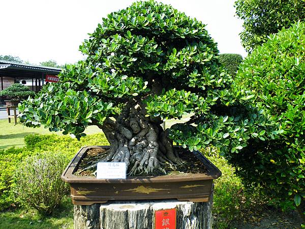 DSCF9449.JPG DSCF9449.JPG