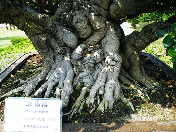 DSCF9450.JPG DSCF9450.JPG