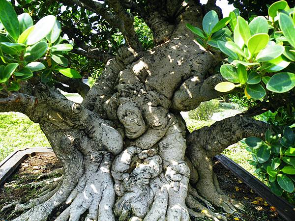 DSCF9451.JPG DSCF9451.JPG