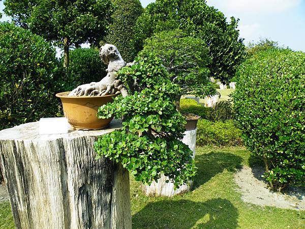 DSCF9454.JPG DSCF9454.JPG