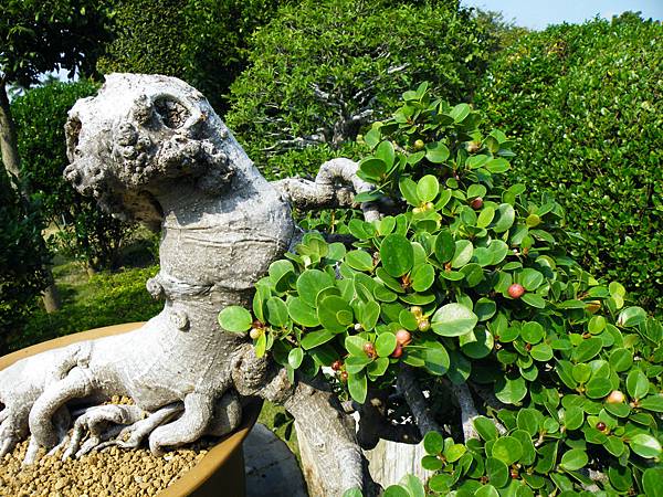 DSCF9456.JPG DSCF9456.JPG