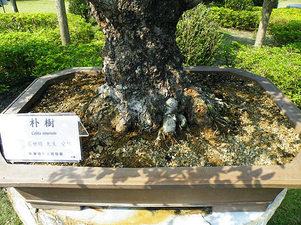 DSCF9459.JPG DSCF9459.JPG