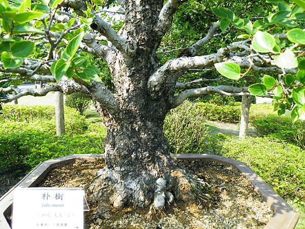 DSCF9460.JPG DSCF9460.JPG