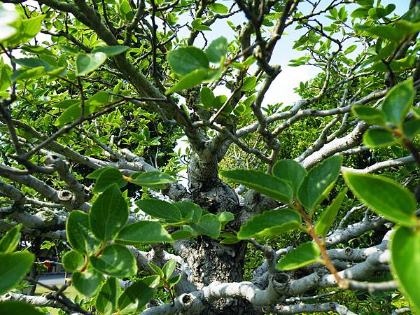 DSCF9461.JPG DSCF9461.JPG