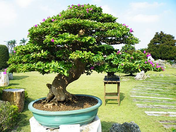 DSCF9463.JPG DSCF9463.JPG