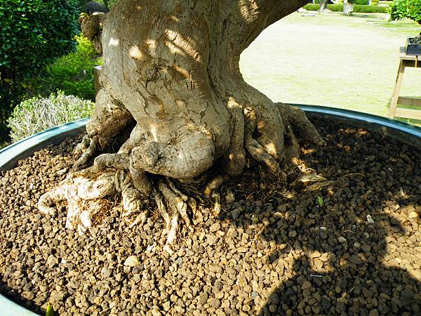 DSCF9464.JPG DSCF9464.JPG