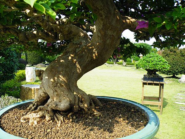 DSCF9465.JPG DSCF9465.JPG