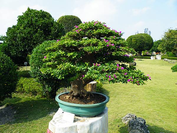 DSCF9468.JPG DSCF9468.JPG