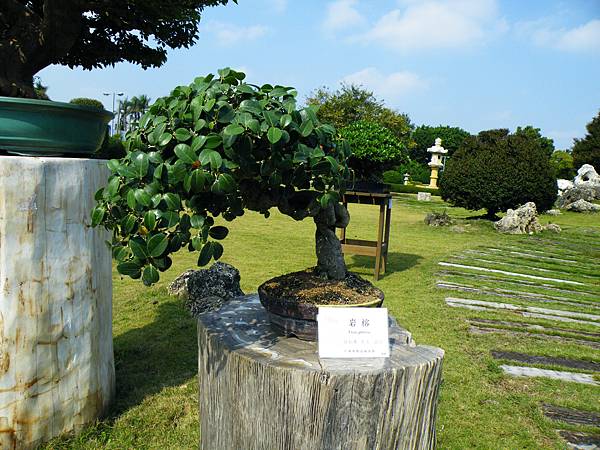 DSCF9469.JPG DSCF9469.JPG