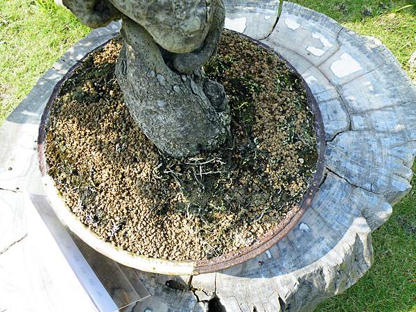 DSCF9470.JPG DSCF9470.JPG