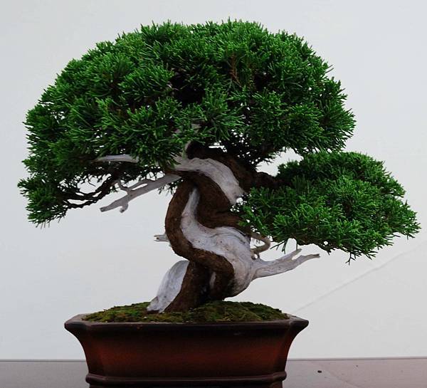 DSC_6878.jpg DSC_6878.jpg