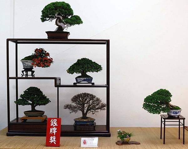 DSC_6876.jpg DSC_6876.jpg