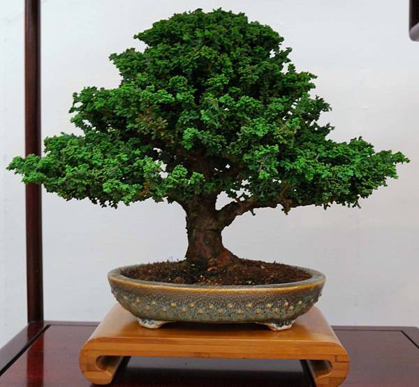 DSC_6884.jpg DSC_6884.jpg