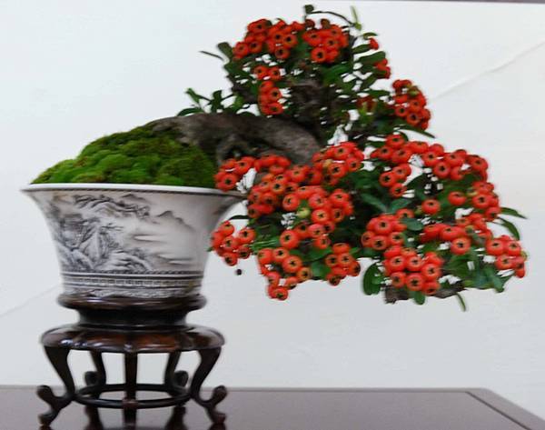 DSC_6882.jpg DSC_6882.jpg