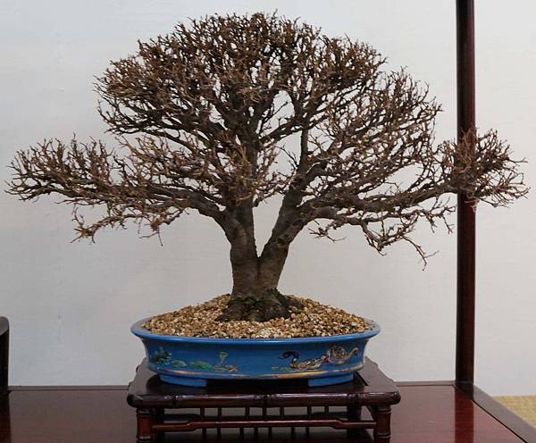 DSC_6886.jpg DSC_6886.jpg