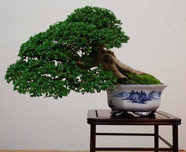 DSC_6888.jpg DSC_6888.jpg