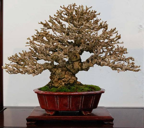 DSC_6898.jpg DSC_6898.jpg