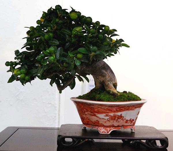 DSC_6896.jpg DSC_6896.jpg