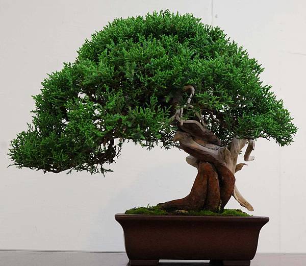 DSC_6894.jpg DSC_6894.jpg