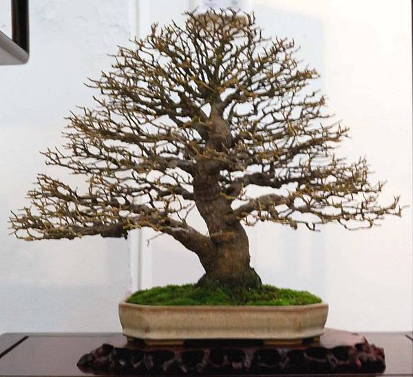 DSC_6902.jpg DSC_6902.jpg