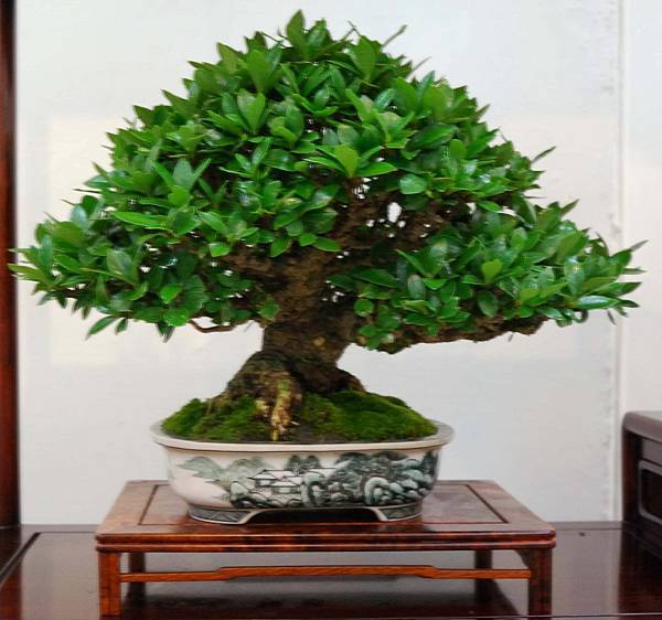 DSC_6901.jpg DSC_6901.jpg