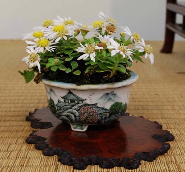 DSC_6906.jpg DSC_6906.jpg